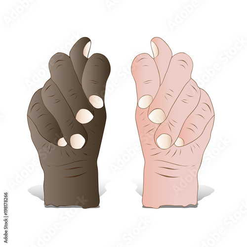 Sign of fig gesture, hand black and pink, caricature on white background,