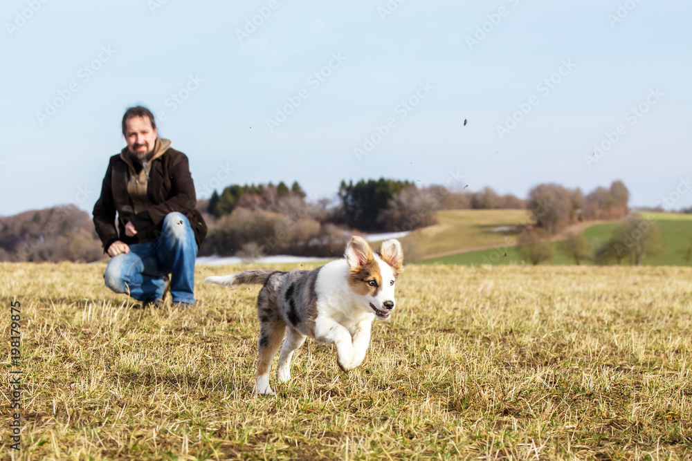 Fotografie man is playing with his half breed puppy dogMann spielt mit seinem Welpen auf ei