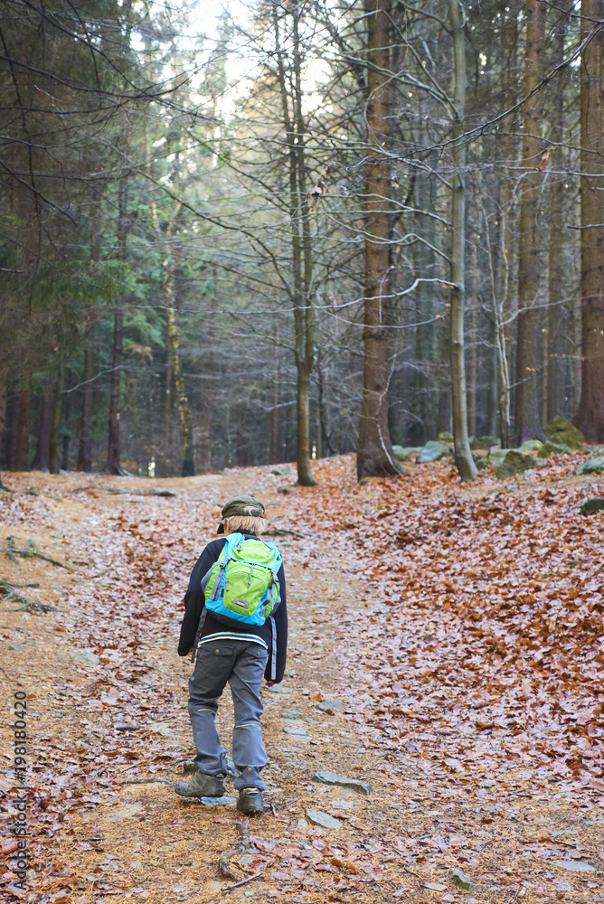 Child boy walking on a forest path. Back view