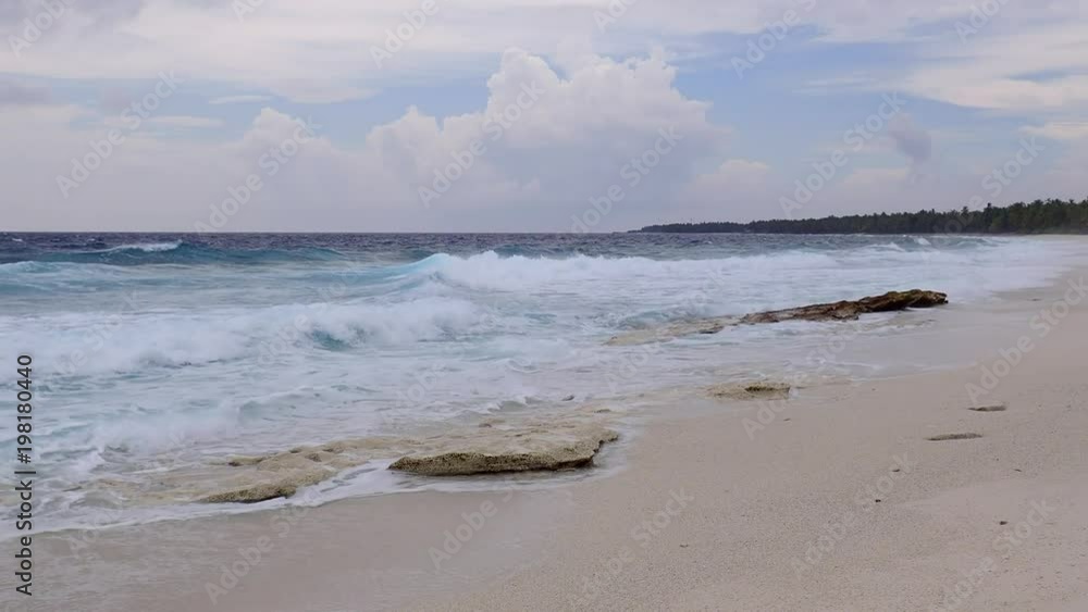 Deserted tropical beach with palm trees and small rocks
