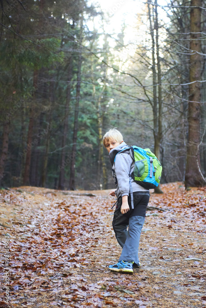 Child boy walking on a forest path. Back view Child boy walking on a forest path. Back view