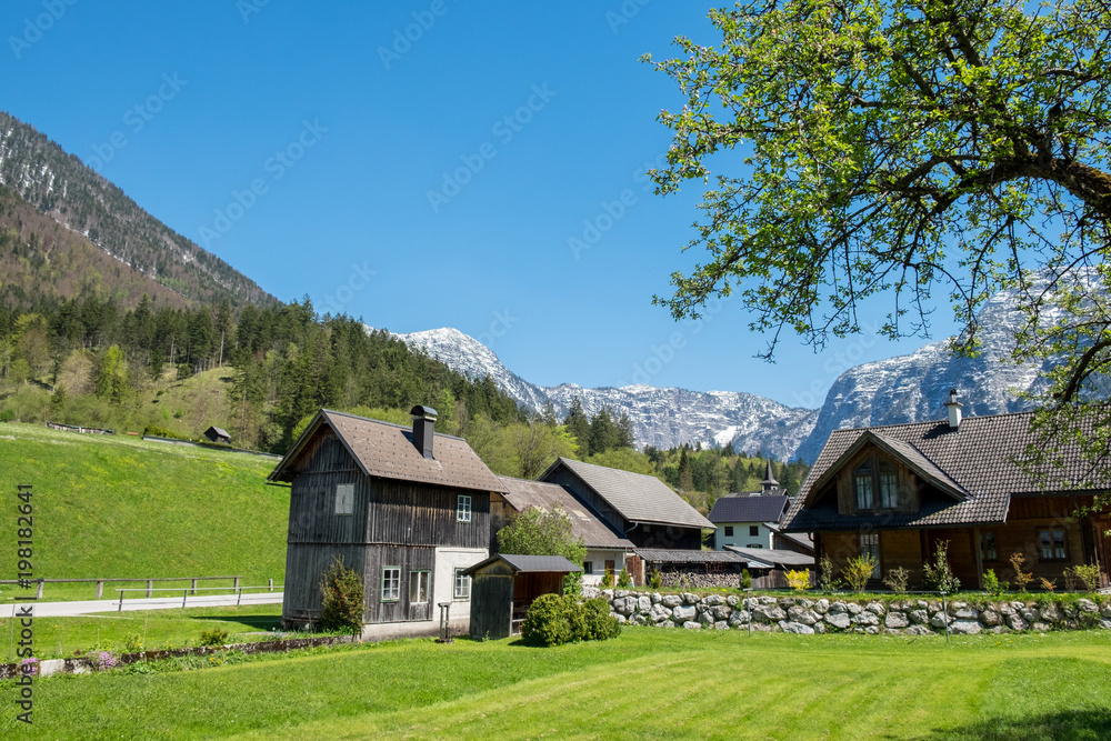 Several wooden huts on a green meadow