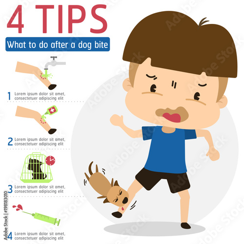 Tips after a dog bite