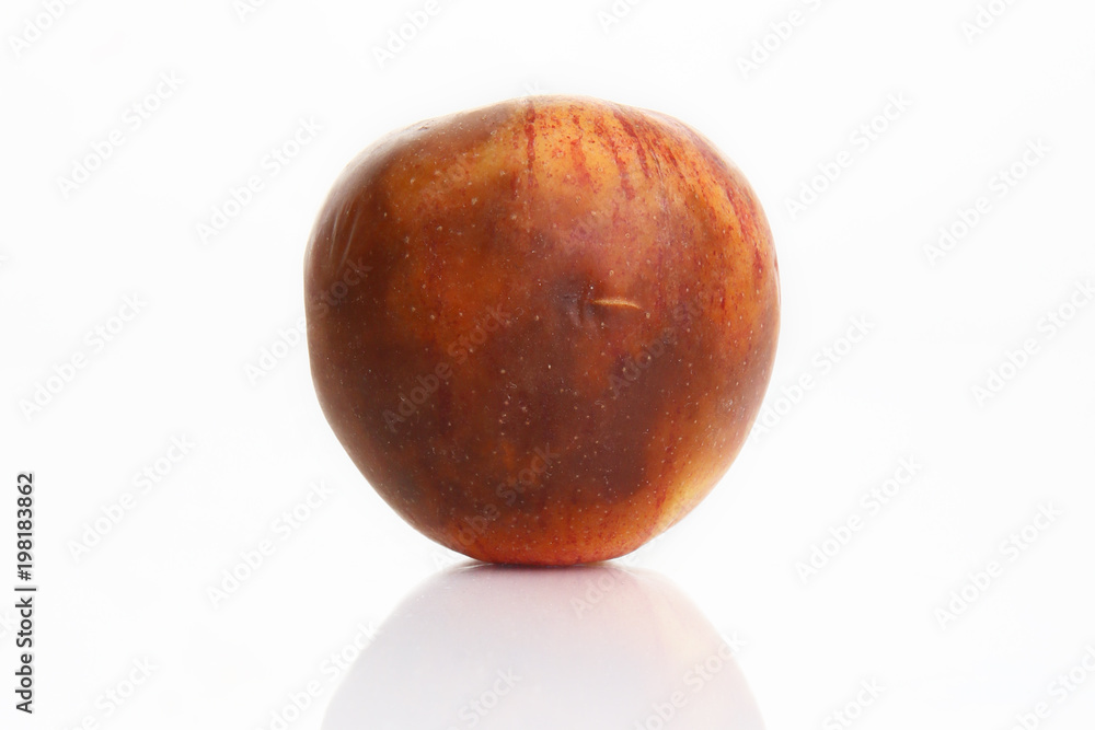 Fototapeta premium Rotten apple with internal mold on a white background.