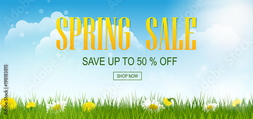 Spring sale banner with field. Spring flowers with grass