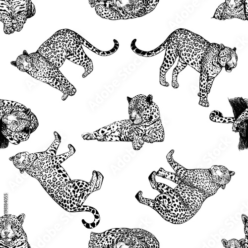 Seamless pattern of hand drawn sketch style leopards isolated on white background. Vector illustration.