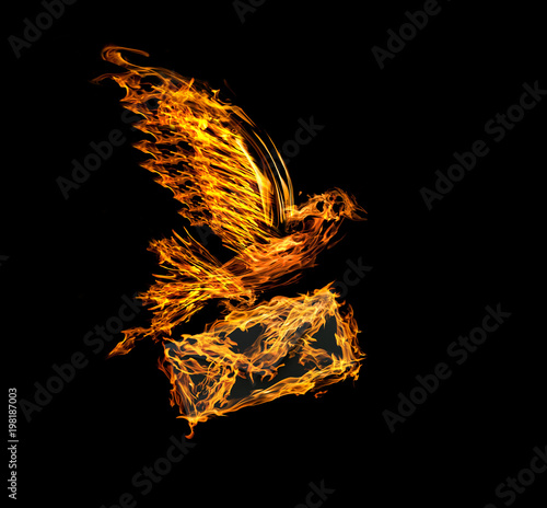 flame flying dove with envelope isolated on black