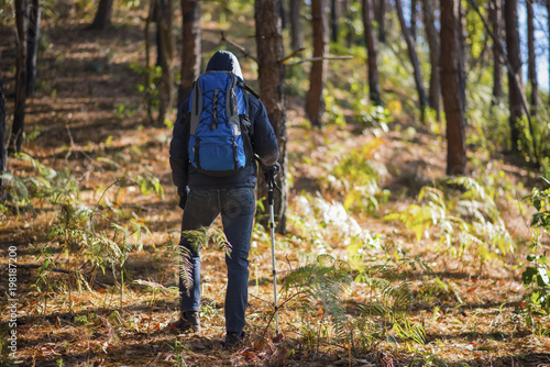 Wallpaper Mural Man traveler with backpack look at the map while mountaineering. Torontodigital.ca