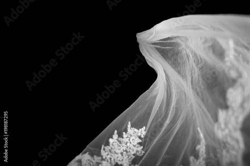 Fényképezés bridal Veil on black Background