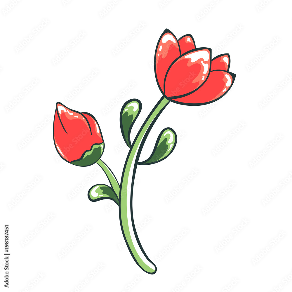 Red Flowers Line Art PNG Transparent Images Free Download | Vector Files |  Pngtree