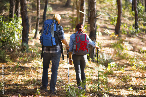 Fototapeta Naklejka Na Ścianę i Meble -  Hiking Couple backpacker in the pine forest.