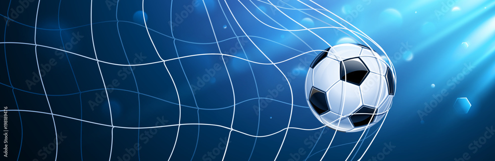 Obraz premium Soccer Ball in a Grid