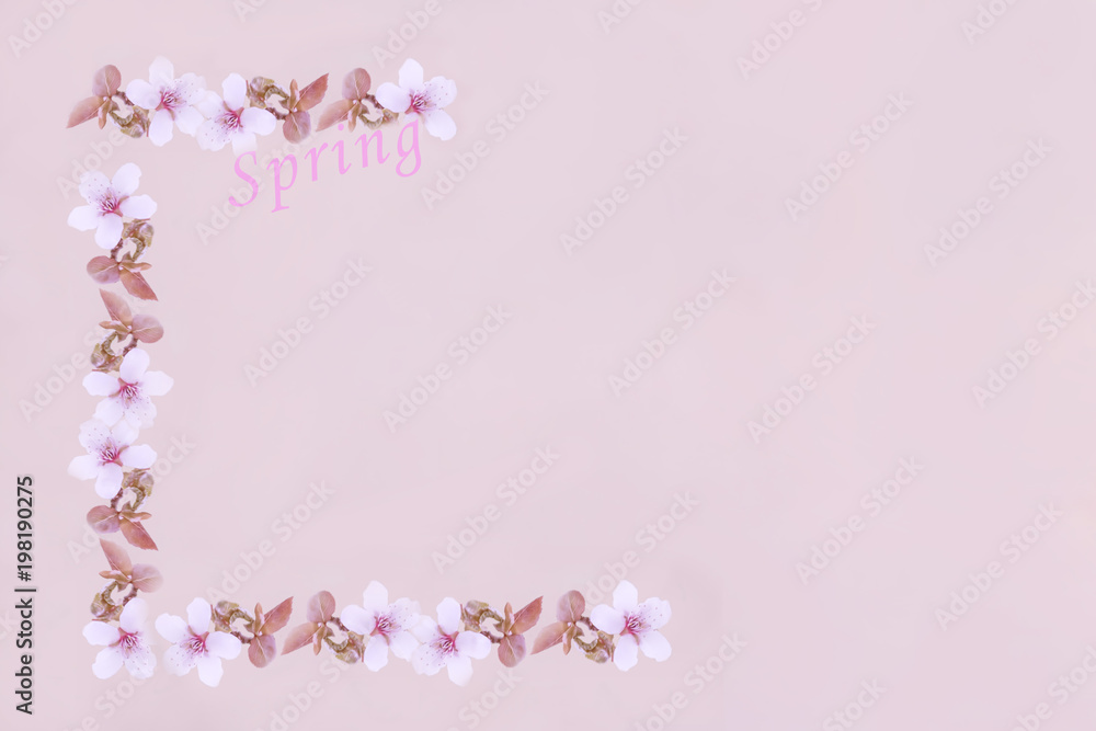 corner frame of cherry blossoms, cherries on a gray pink gentle background and the inscription 