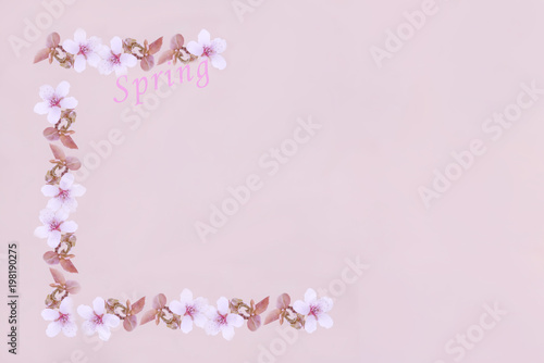 corner frame of cherry blossoms, cherries on a gray pink gentle background and the inscription "spring". Screensaver, background, postcard. Abstract image.
