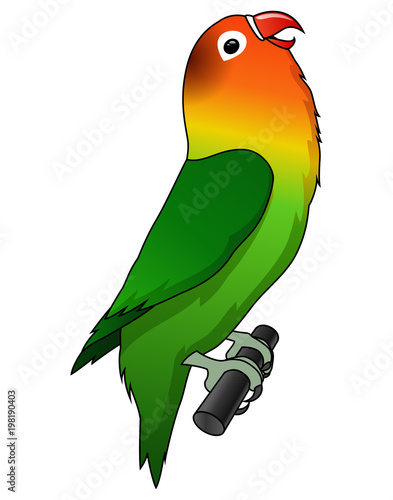 cute lovebird cartoon isolated on white background. Vector illustration