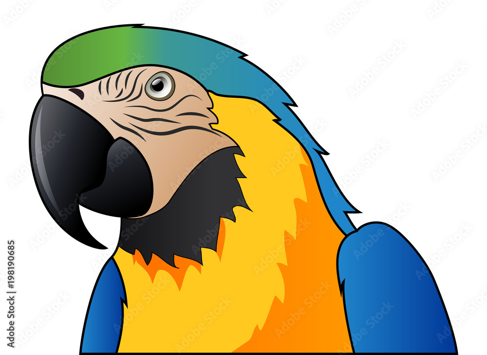 cute parrot blue macaw cartoon isolated on white background. Vector illustration Stock Vector | Adobe Stock cute parrot blue macaw cartoon isolated on white background. Vector illustration Stock Vector | Adobe Stock
