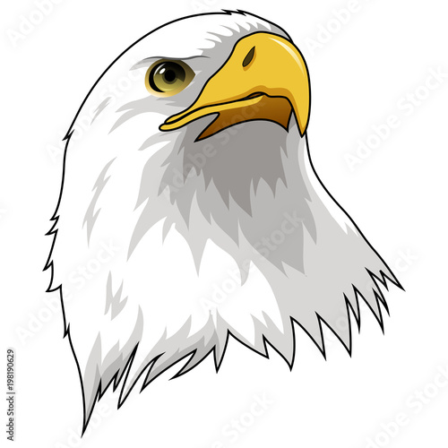 Mascot Head of Eagle Isolated on white background. Vector illustration