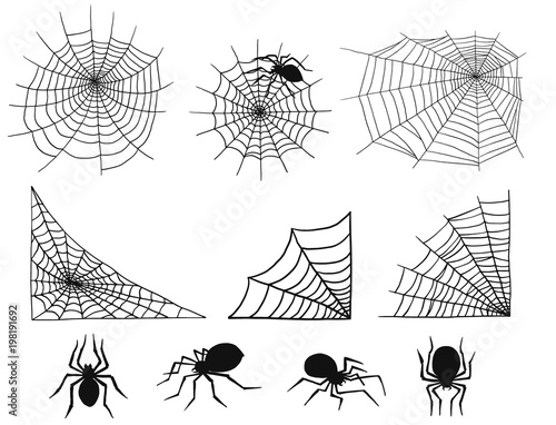 Spiders vector web silhouette spooky spider nature halloween element cobweb decoration fear spooky net.
