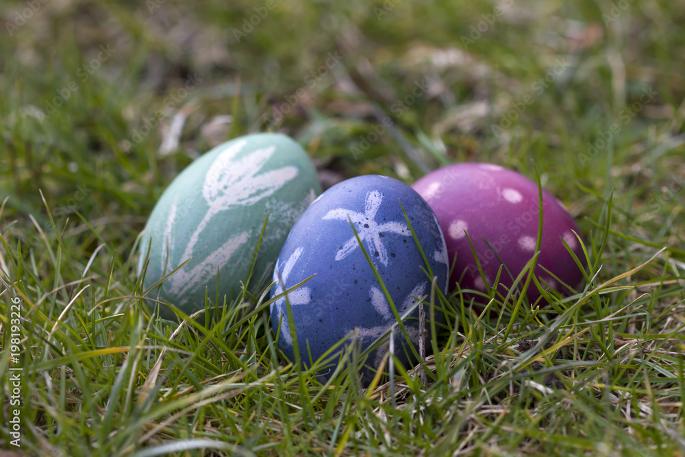 Nest of natural-colored Easter eggs Nest of natural-colored Easter eggs