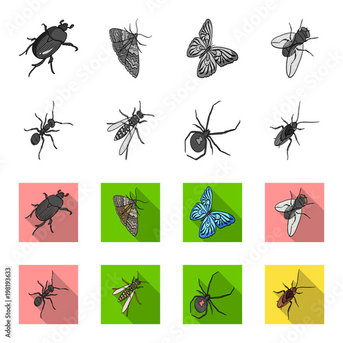 An insect arthropod, an osa, a spider, a cockroach. Insects set collection icons in monochrome,flat style vector symbol stock isometric illustration web.