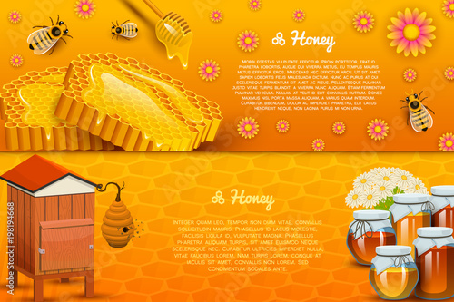 Honey or natural farm product. beekeeping or garden. Health, organic sweets, medicine illustration, agriculture. food in honeycomb cooked by bees. background for text. Card or poster for web site.