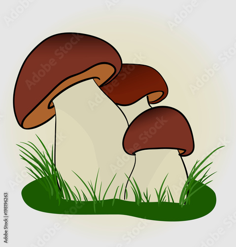 White mushroom on a white background Vector EPS.