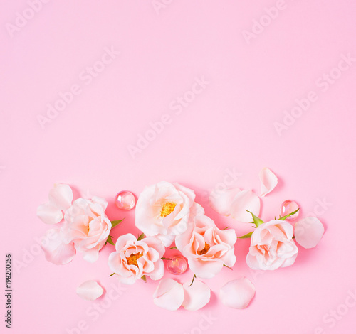 Pink background with roses