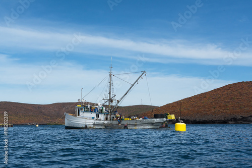 Los pescadores del barco pesquero y la lancha están trabajando en los criaderos de atún.