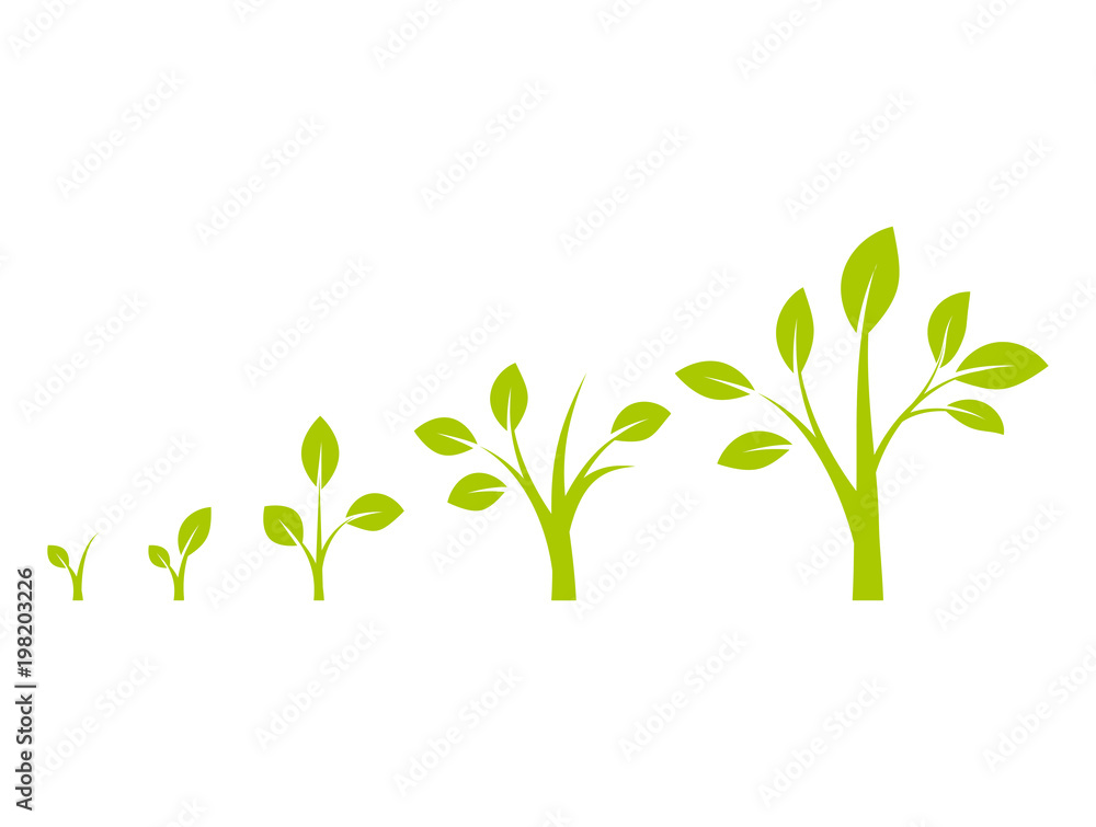 Infographic of planting tree. Infographic of planting tree.