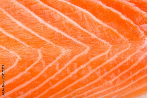 Salmon.