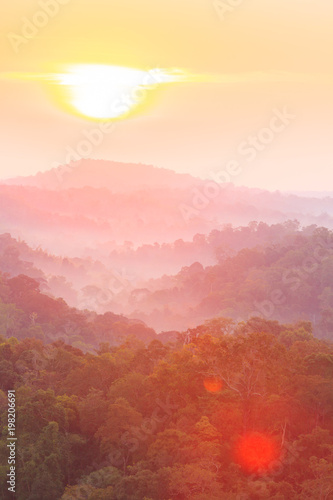 Golden sunrise shines on a mountain and tropical forest.