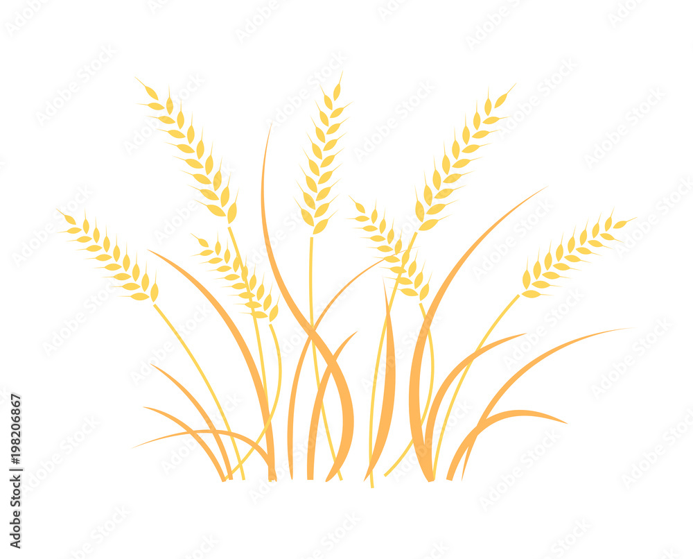 Wheat field background. Cereals icon set. Wheat field background. Cereals icon set.