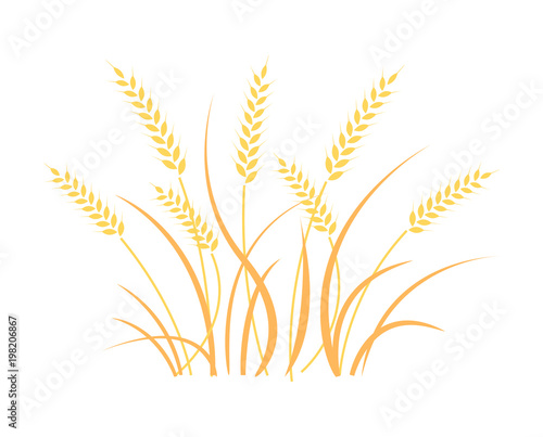 Wheat field background. Cereals icon set.