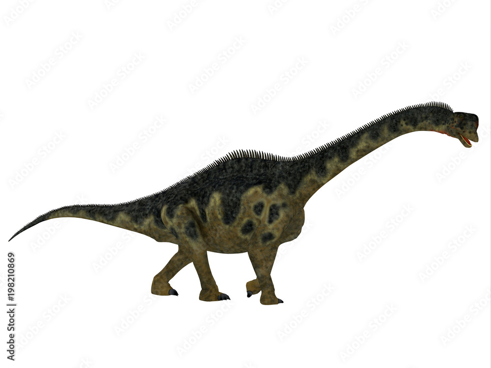 Fototapeta premium Europasaurus Dinosaur Side Profile - Europasaurus was a sauropod herbivorous dinosaur that lived in Germany, Europe during the Jurassic Period.