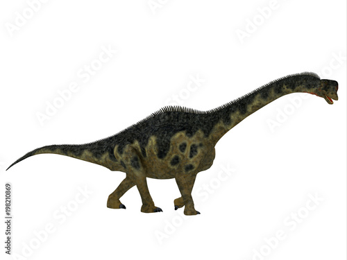 Europasaurus Dinosaur Side Profile - Europasaurus was a sauropod herbivorous dinosaur that lived in Germany  Europe during the Jurassic Period.