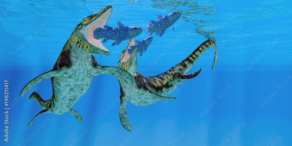 Tylander Fish ภาพประกอบสต็อก Tylosaurus Marine Reptiles - Coelacanth fish become prey ...