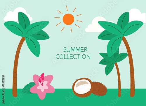 hot summer tropical fun coconut tree, flowers, vector illustration collection 