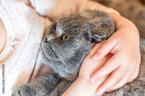 Close-up portrait of cat being hugged by child. Kitten patience. Best friends. Pet care