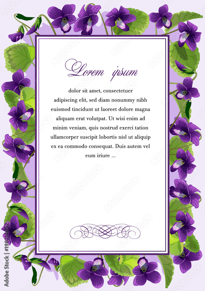 Frame with the flowers of violet Frame with the flowers of violet