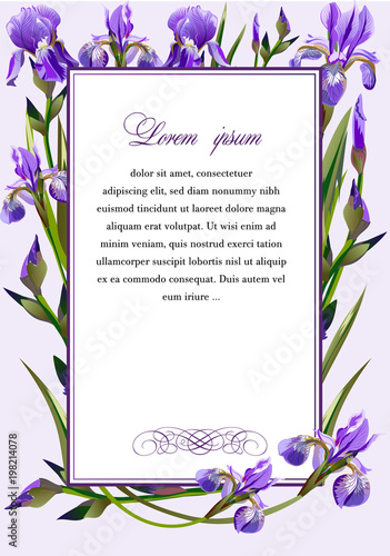 Frame with the flowers of iris