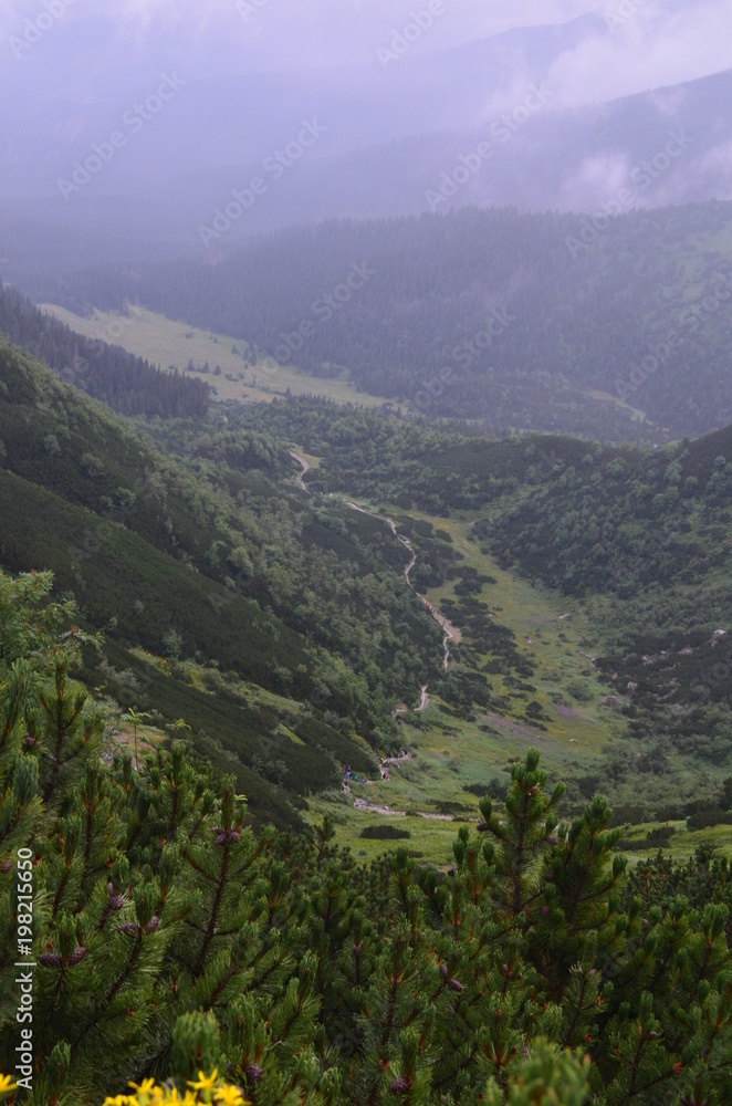 Tatry, widok z Kondrackiej Przełęczy na Kondracką Dolinę