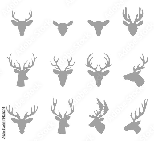 Head of a deer with horns.