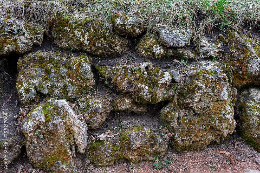 Rocky stones are covered with moss, mushrooms. Forest