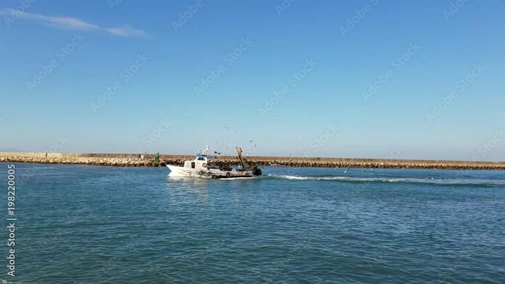 Fishing boat surrounded by hungry seagulls enters a Mediterranean port in Denia, a Mediterranean port in the Alicante province, on Costa Blanca, Spain. Fishing boat surrounded by hungry seagulls enters a Mediterranean port in Denia, a Mediterranean port in the Alicante province, on Costa Blanca, Spain.