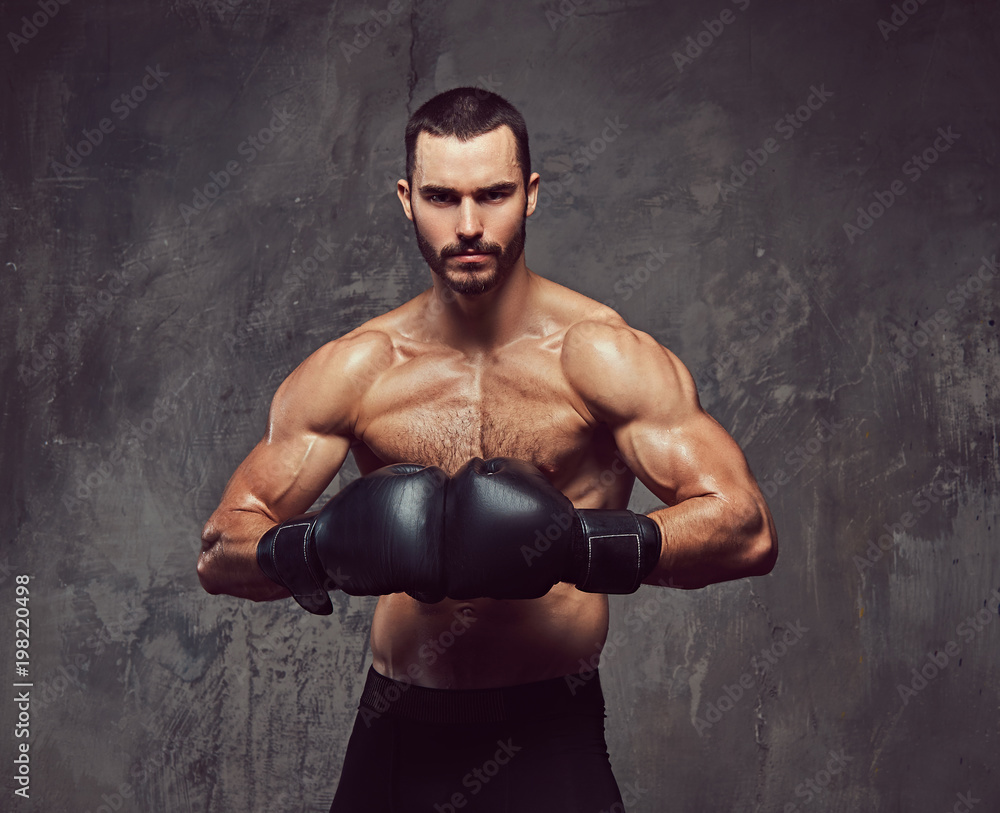 A brutal muscular boxer in boxing gloves on a gray background.