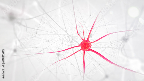 Neurons in the brain on white background (3d illustration)