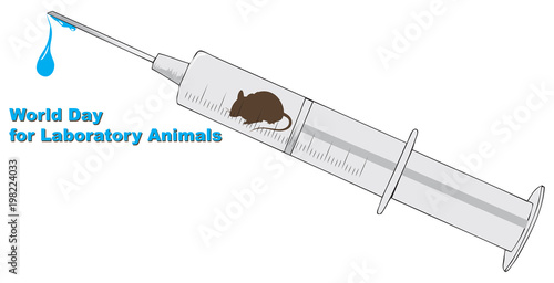 Syringe with laboratory mouse