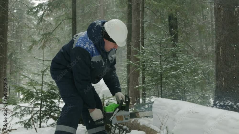 Worker sawing with chainsaw in winter forest Worker sawing with chainsaw in winter forest