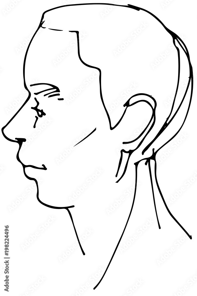 vector sketch of a beautiful man profile vector sketch of a beautiful man profile