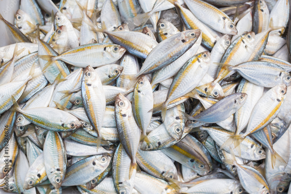 Obraz premium fresh fish